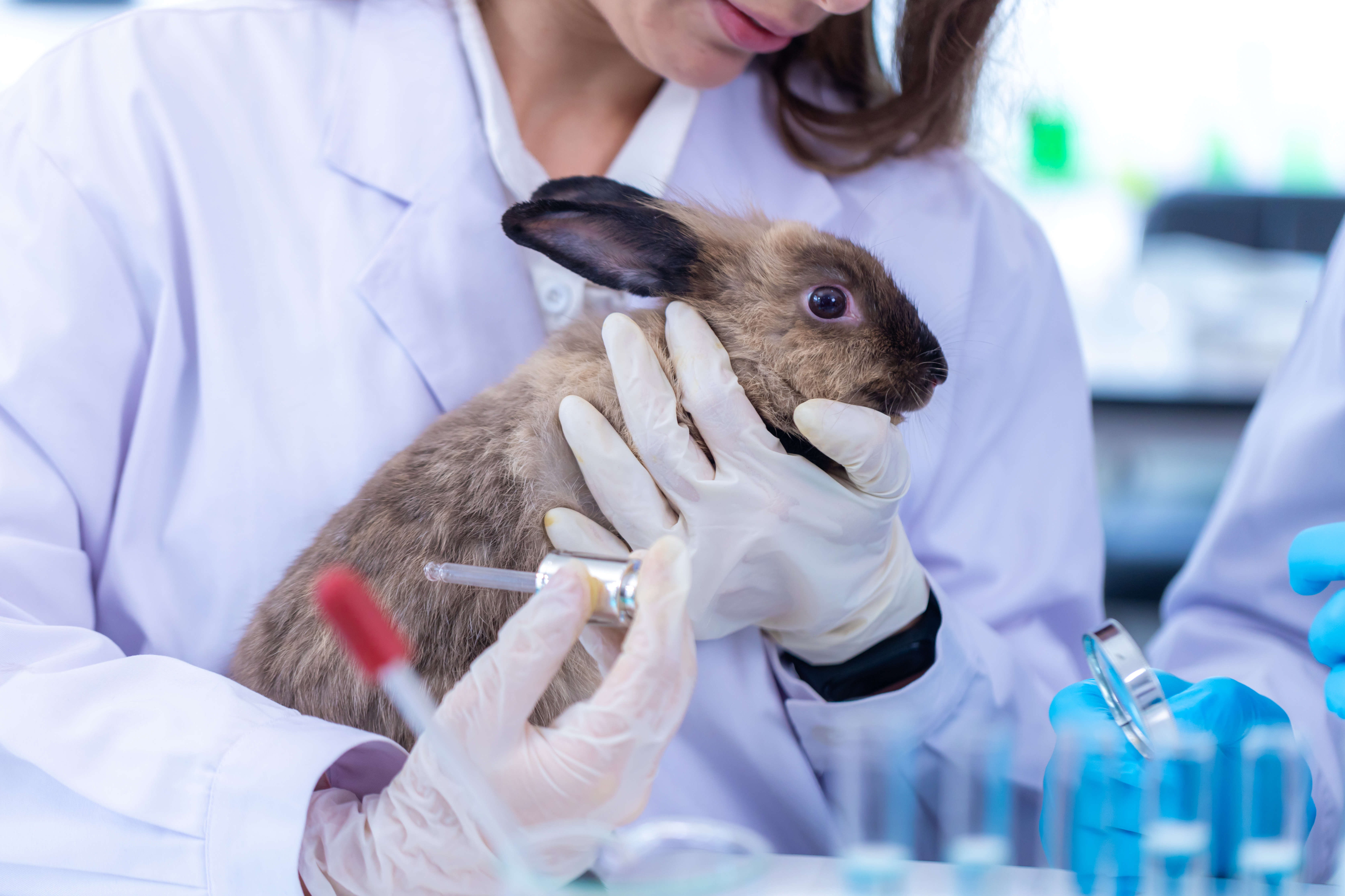 Laboratory animal welfare &mdash; study oversight